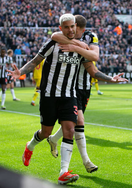 哈马比是否 哈马比是否